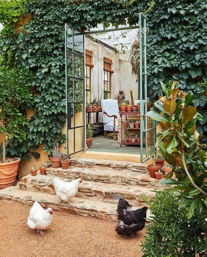 Bed and Breakfast Jonkmanshof - 20 Bath Montagu Esterno foto